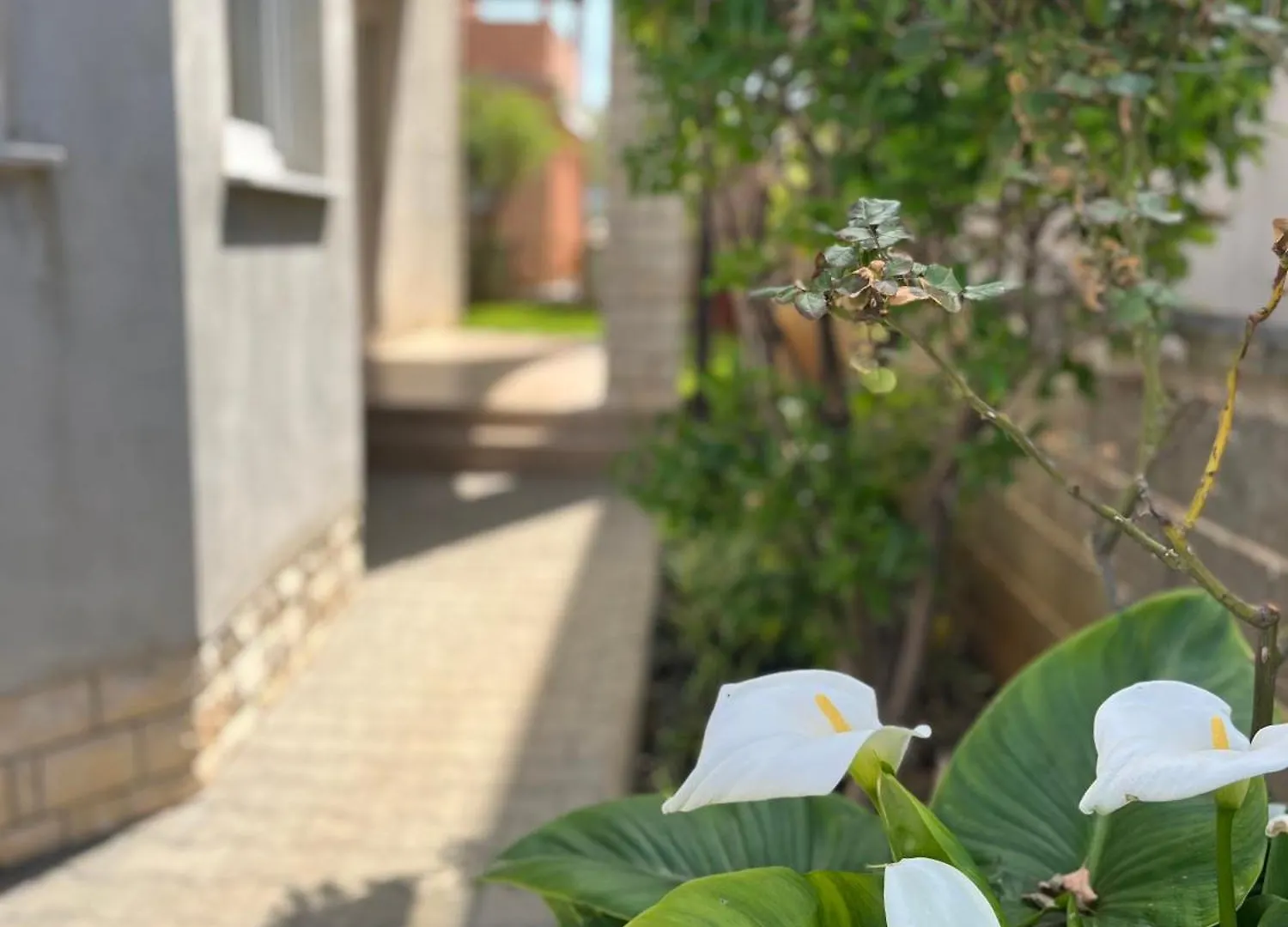 Apartments Drago ヴィル クロアチア